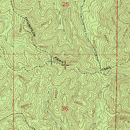 Topographic Map of Thompson Peak Trail, NM