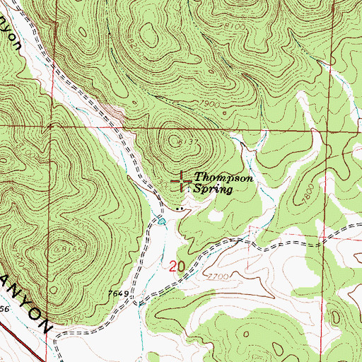 Topographic Map of Thompson Spring, NM