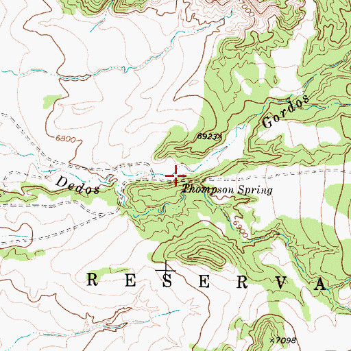Topographic Map of Thompson Spring, NM
