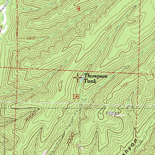 Topographic Map of Thompson Tank, NM