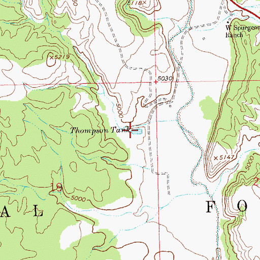 Topographic Map of Thompson Tank, NM