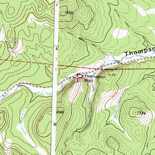 Topographic Map of Thompson Well, NM