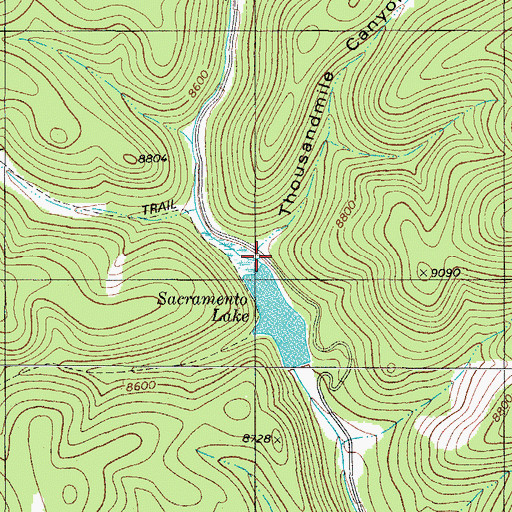 Topographic Map of Thousandmile Canyon, NM