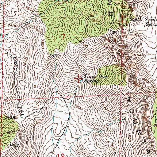 Topographic Map of Three Gun Spring, NM