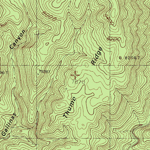 Topographic Map of Thumb Ridge, NM