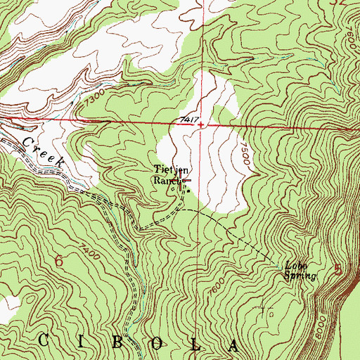 Topographic Map of Tiet jen Ranch, NM