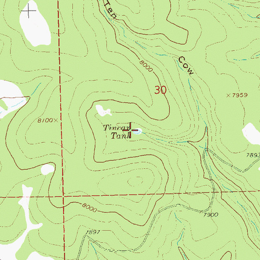 Topographic Map of Tincan Tank, NM
