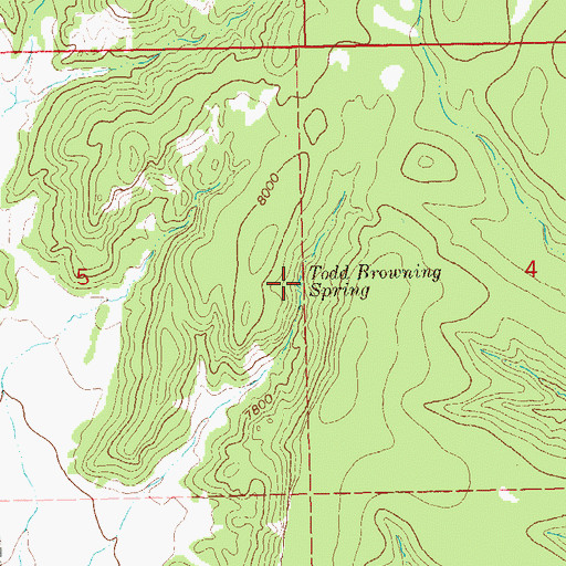 Topographic Map of Todd Browning Spring, NM