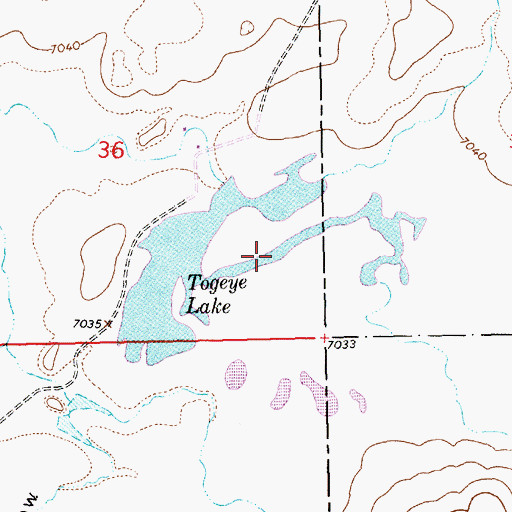 Topographic Map of Togeye Lake, NM