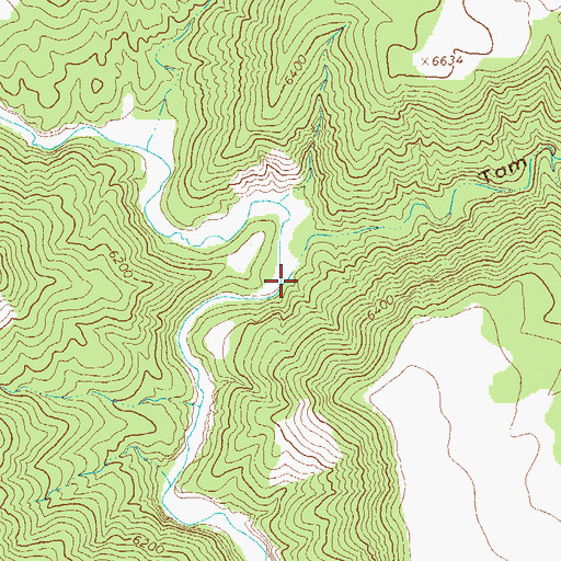 Topographic Map of Tom Moore Canyon, NM