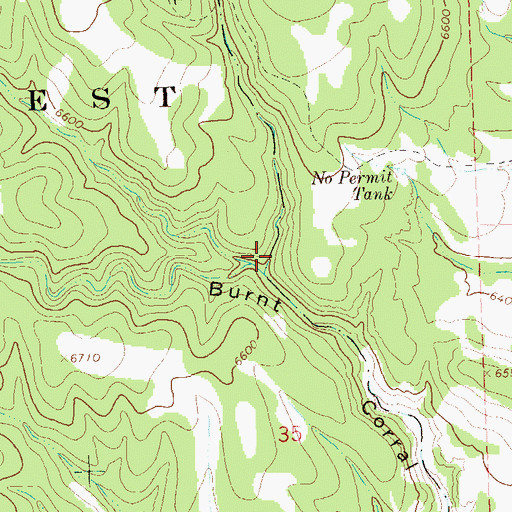 Topographic Map of Tommy Hill Canyon, NM