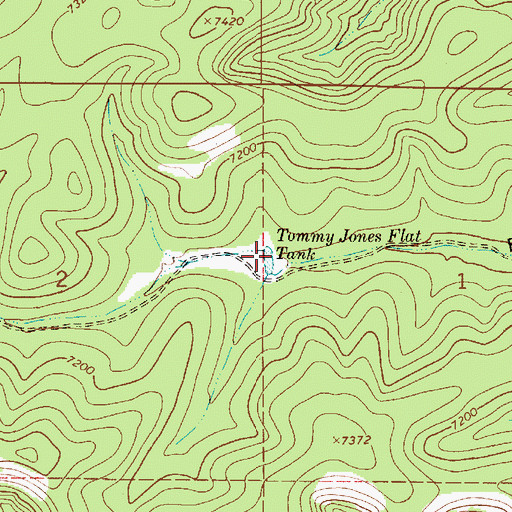 Topographic Map of Tommy Jones Flat Tank, NM
