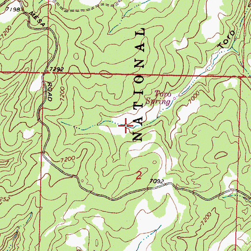 Topographic Map of Toro Spring, NM