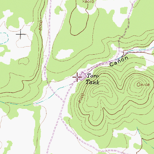 Topographic Map of Toro Tank, NM