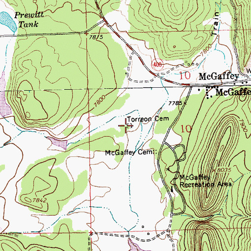 Topographic Map of Torreon Cemetery, NM