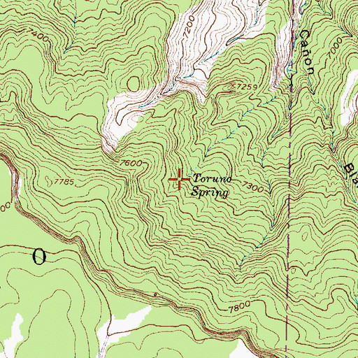 Topographic Map of Toruno Spring, NM