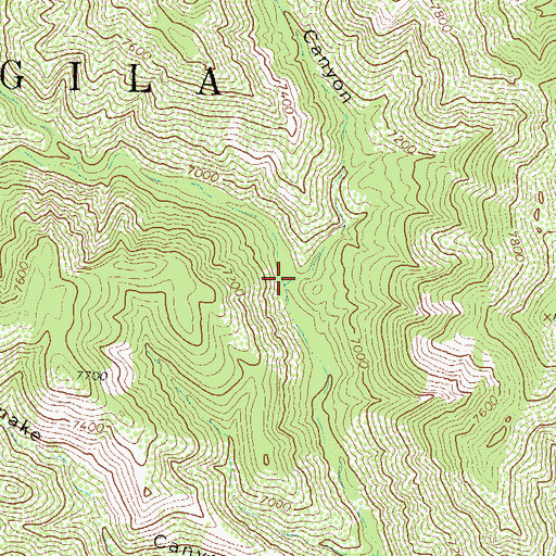 Topographic Map of Trail Canyon, NM