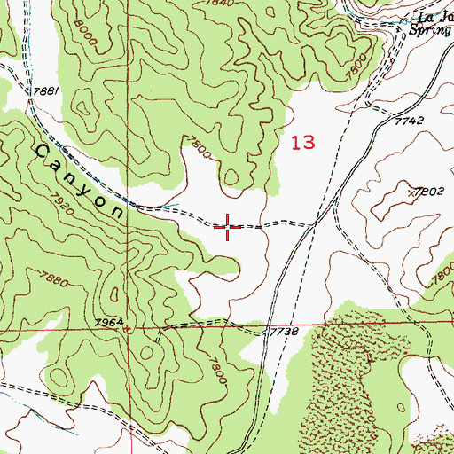 Topographic Map of Trail Canyon, NM