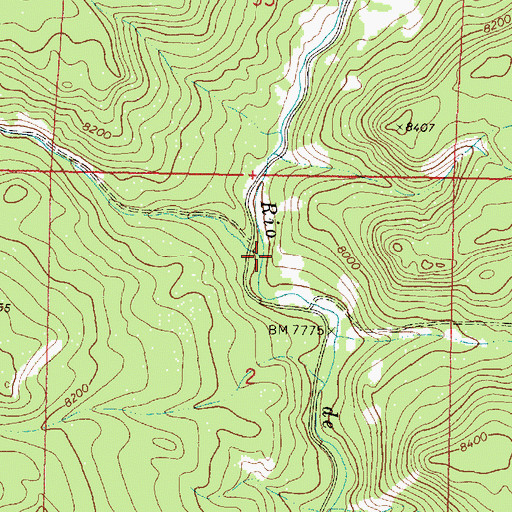 Topographic Map of Trail Creek, NM