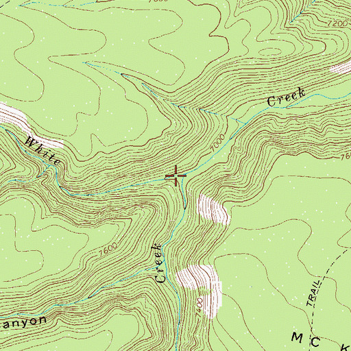 Topographic Map of Trail Creek, NM