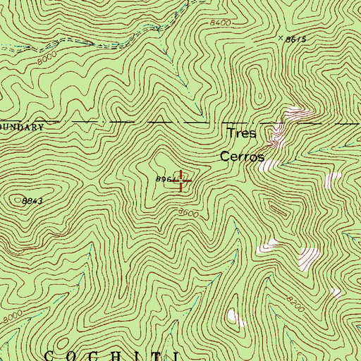 Topographic Map of Tres Cerros, NM