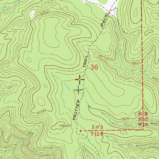 Topographic Map of Trotter Trail, NM