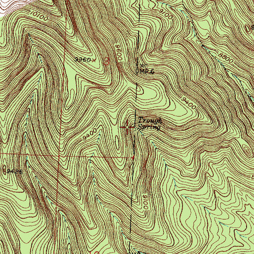 Topographic Map of Trough Spring, NM
