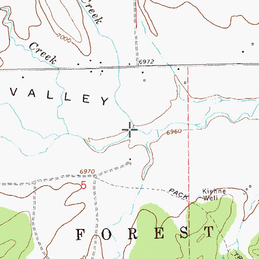 Topographic Map of Trout Creek, NM