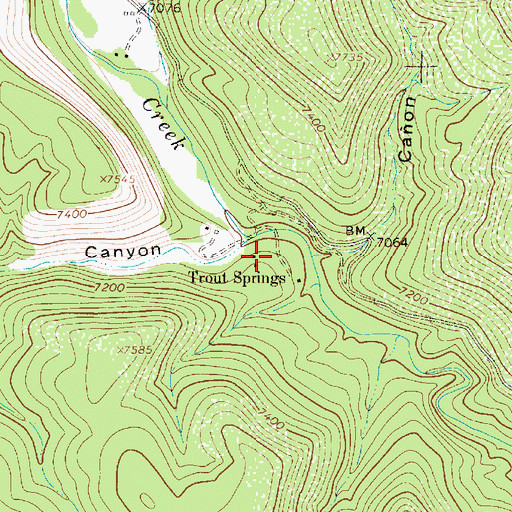 Topographic Map of Trout Springs, NM