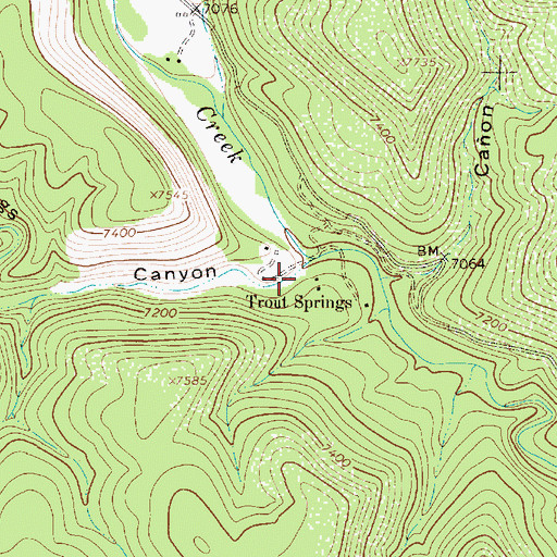 Topographic Map of Trout Springs Canyon, NM