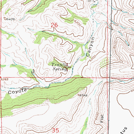 Topographic Map of Trujillo Spring, NM