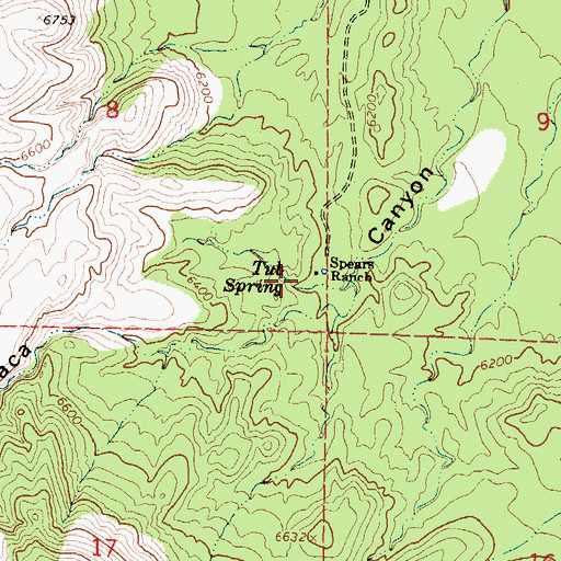 Topographic Map of Tub Spring, NM