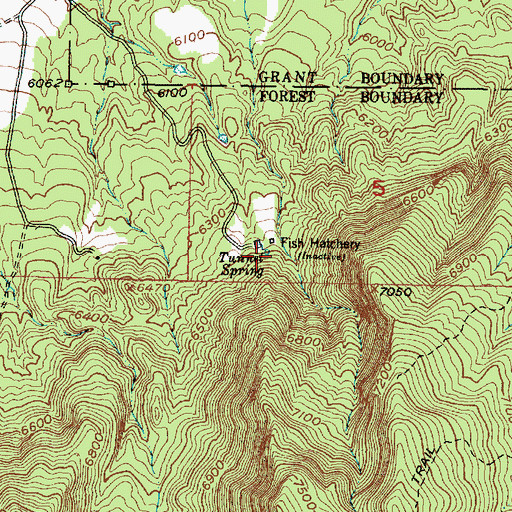 Topographic Map of Tunnel Spring, NM