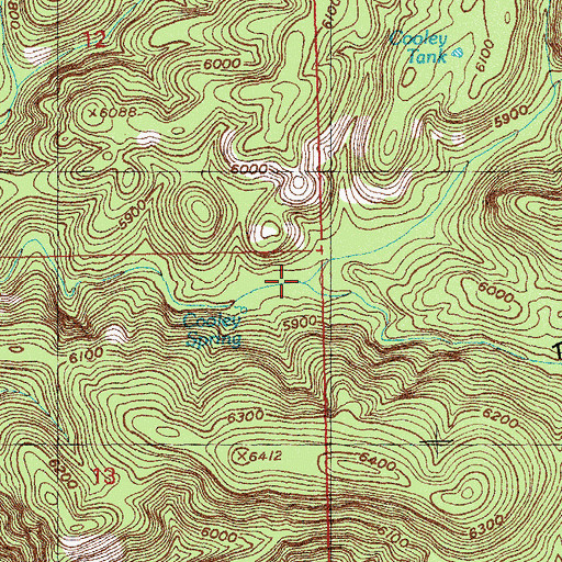 Topographic Map of Turkey Canyon, NM
