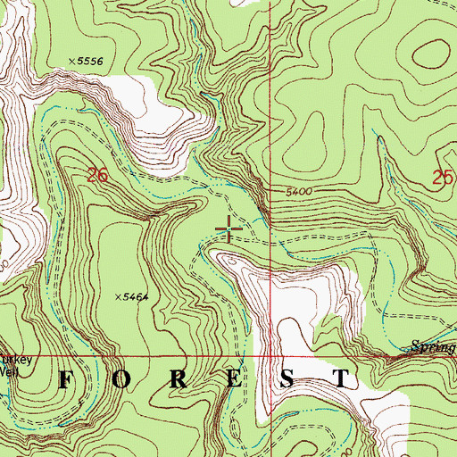Topographic Map of Turkey Canyon, NM