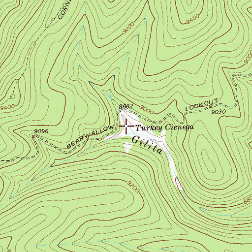 Topographic Map of Turkey Cienega, NM