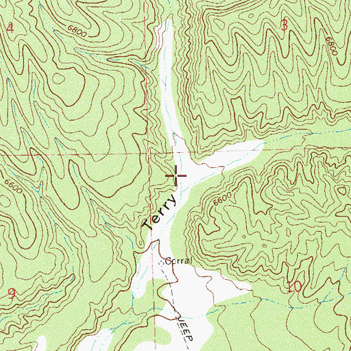 Topographic Map of Turkey Cienega Canyon, NM