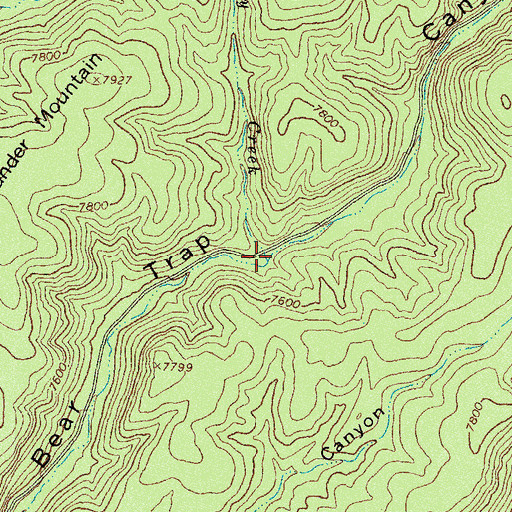 Topographic Map of Turkey Creek, NM