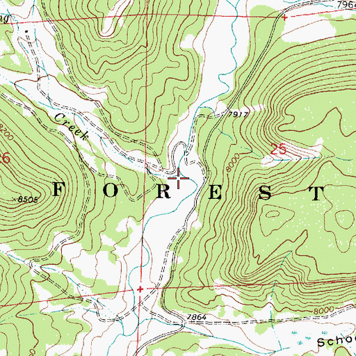 Topographic Map of Turkey Creek, NM