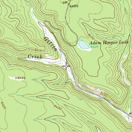Topographic Map of Turkey Creek, NM