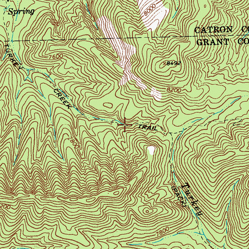 Topographic Map of Turkey Creek Trail, NM