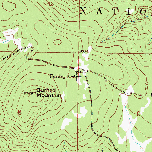 Topographic Map of Turkey Lake, NM