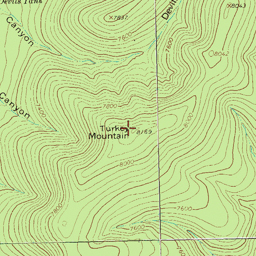 Topographic Map of Turkey Mountain, NM