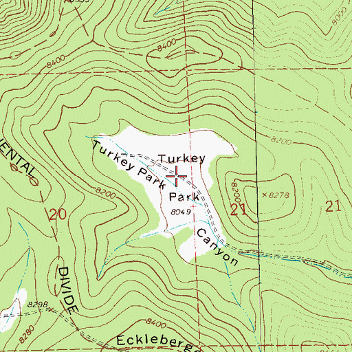 Topographic Map of Turkey Park, NM