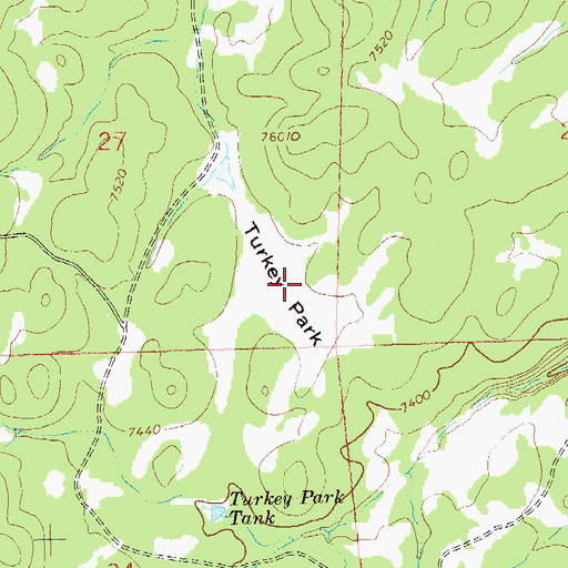 Topographic Map of Turkey Park, NM