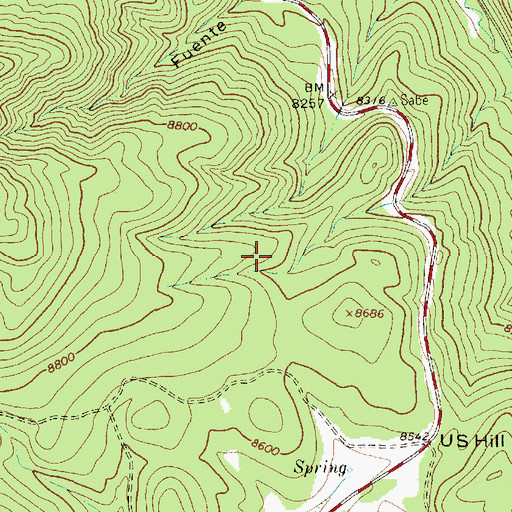 Topographic Map of Turkey Park, NM