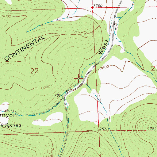 Topographic Map of Turkey Park Canyon, NM