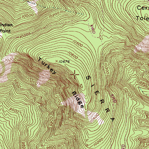 Topographic Map of Turkey Ridge, NM