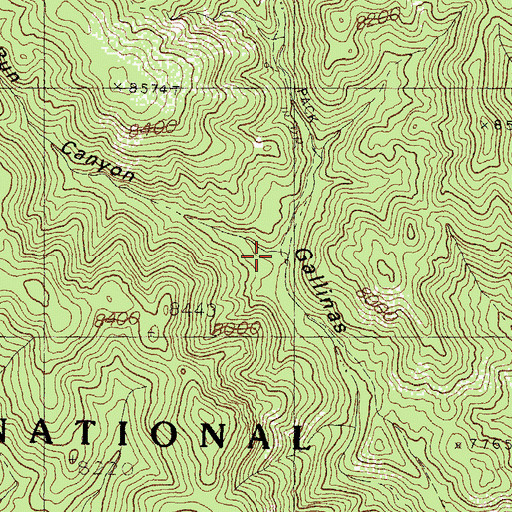 Topographic Map of Turkey Run Canyon, NM