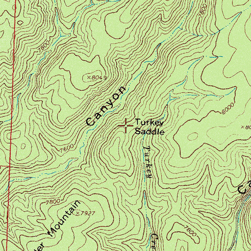 Topographic Map of Turkey Saddle, NM